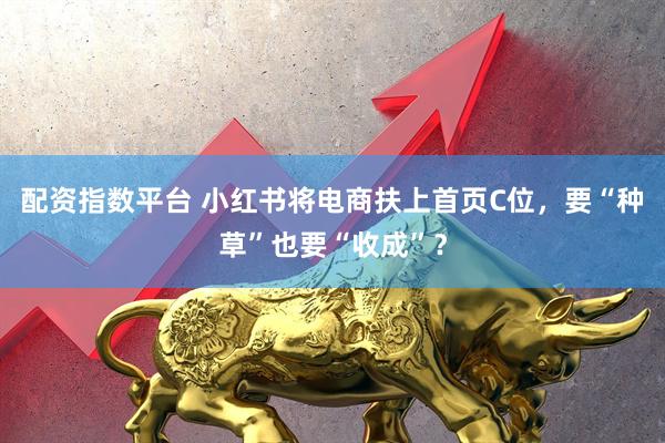 配资指数平台 小红书将电商扶上首页C位，要“种草”也要“收成”？